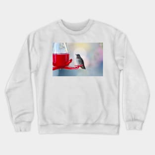 Hummingbird sun halo Crewneck Sweatshirt